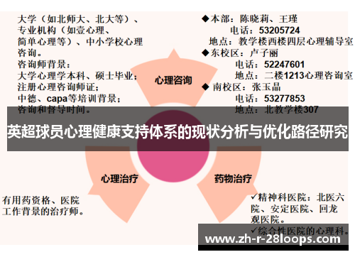 英超球员心理健康支持体系的现状分析与优化路径研究
