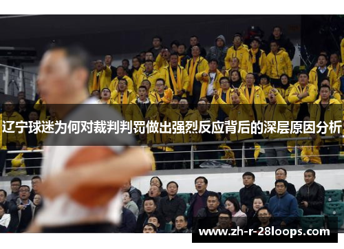 辽宁球迷为何对裁判判罚做出强烈反应背后的深层原因分析