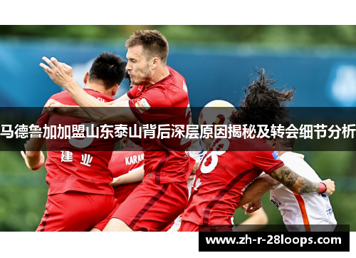 马德鲁加加盟山东泰山背后深层原因揭秘及转会细节分析
